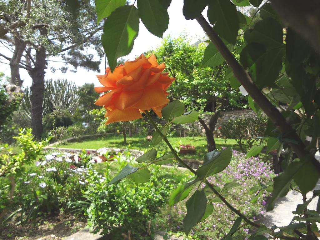 Casa Augusto B&B Capri Kültér fotó