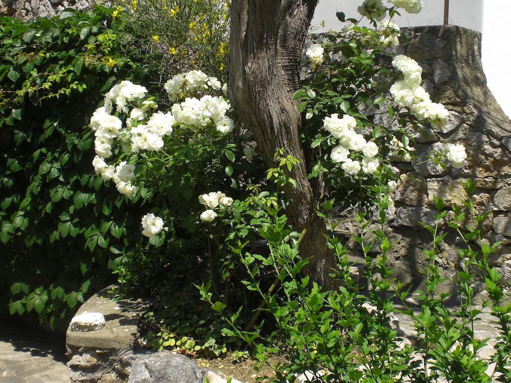 Casa Augusto B&B Capri Kültér fotó